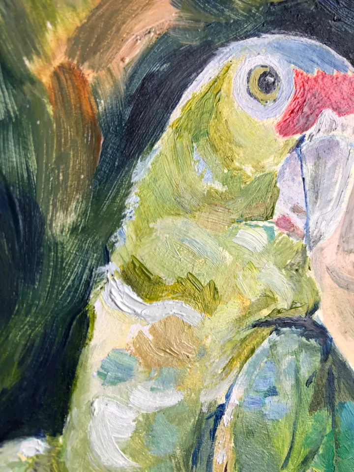 Parrot original oil painting bird portrait modern painting wall art 9x6 inches