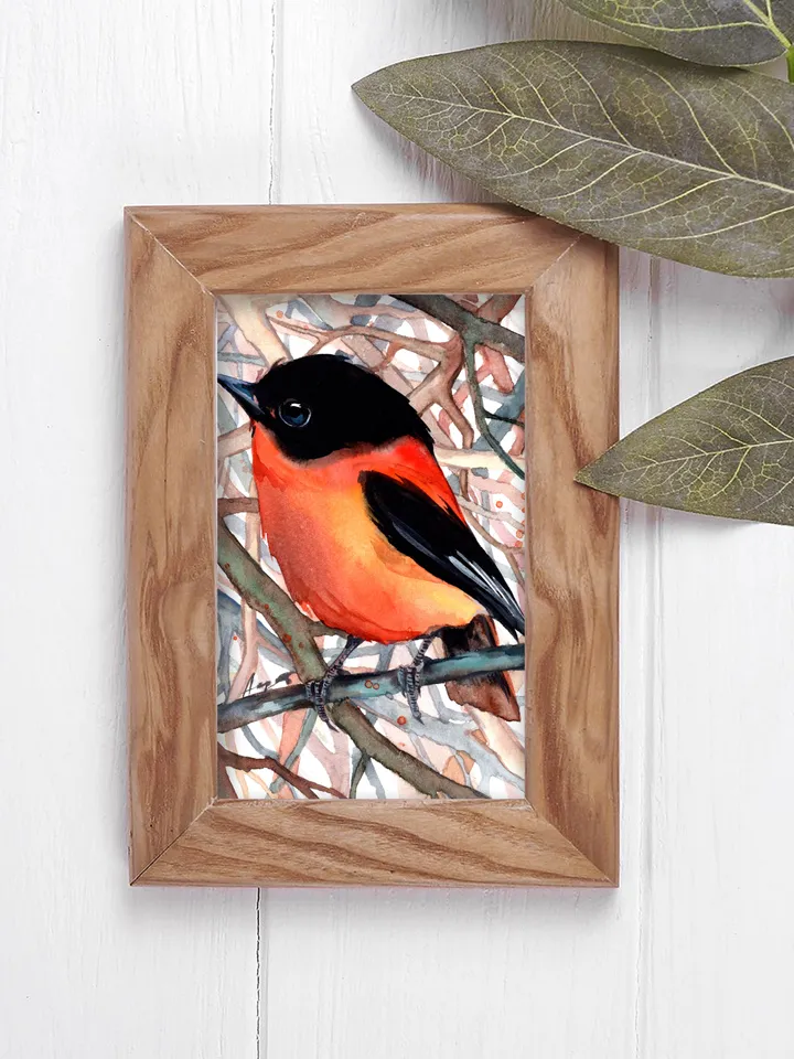 Flycatcher original watercolor, birds painting, handmade wall decor, 5x7 in art for bird lovers by Anne Gorywine