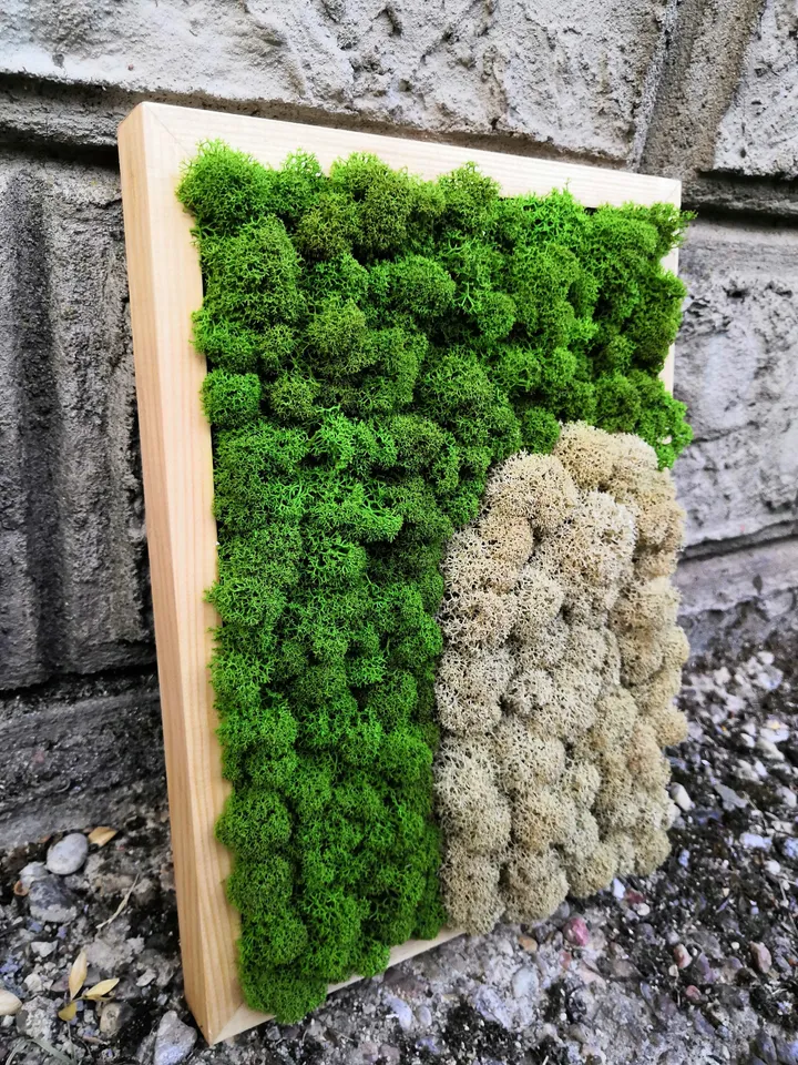 Mid Century Moss Wall Art | Moss Picture | Boho Wall Decor | Arch And Circle Wall Art | Abstract Wall Art | Colorfull Art