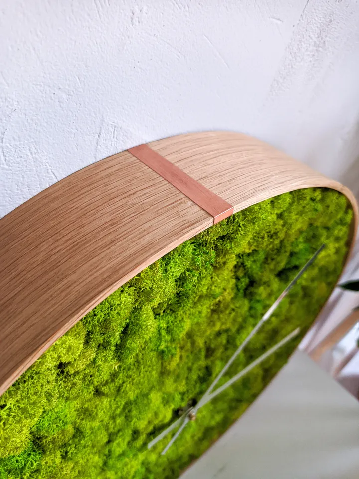 Moss Clock for home decoration | New homeowners housewarming gift | Plant eco friendly gift | First time home decor | Modern moss circle art