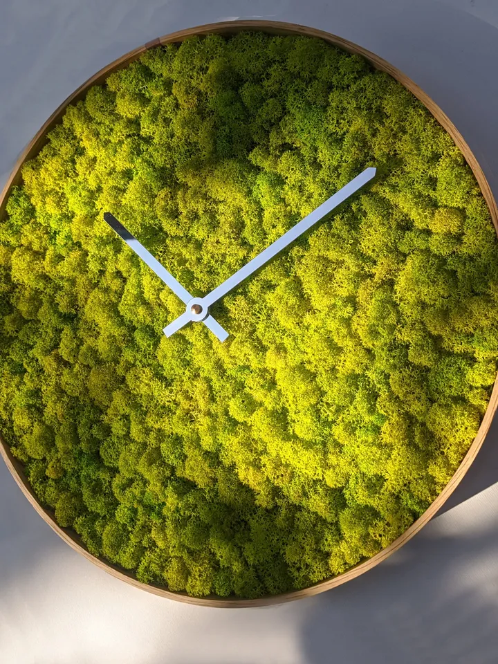 Moss Clock for home decoration | New homeowners housewarming gift | Plant eco friendly gift | First time home decor | Modern moss circle art
