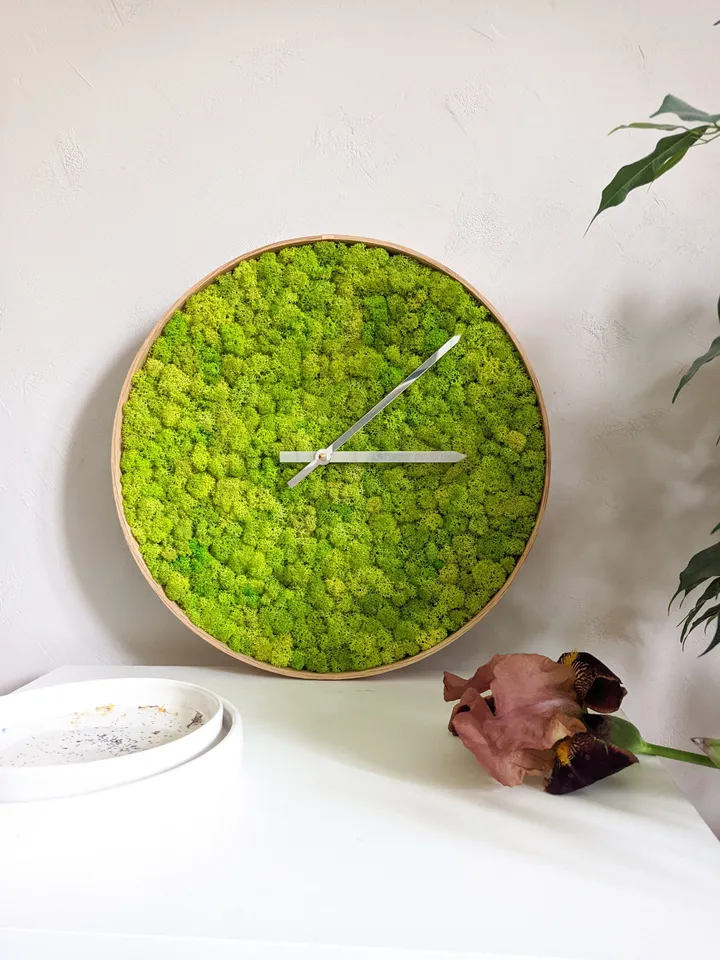 Moss Clock for home decoration | New homeowners housewarming gift | Plant eco friendly gift | First time home decor | Modern moss circle art