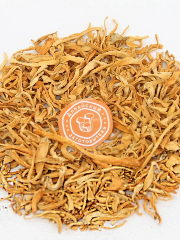 Cordyceps mushroom, 30 gr.(1.1 oz)