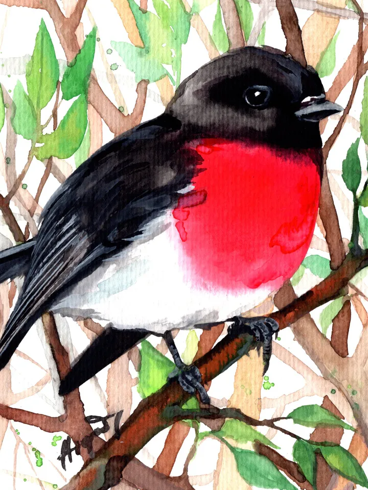 Robin original watercolor, birds painting, wall decor, 7x10 in art for bird lovers by Anne Gorywine