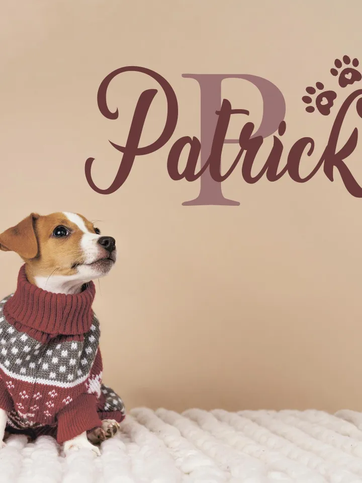 Personalized Dog Wall Decal Name Sticker Name Sign Custom Pawprint Bone
