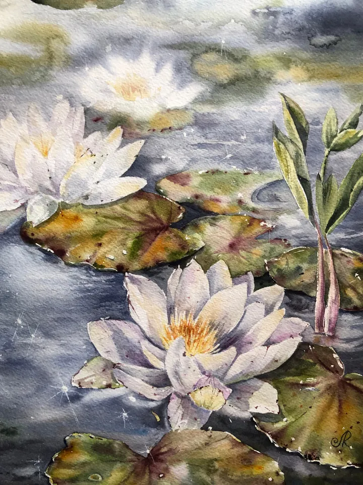 Lotus Watercolor Painting Water Lilies Art Print Lotus Artwork Lotus Pond Wall Art