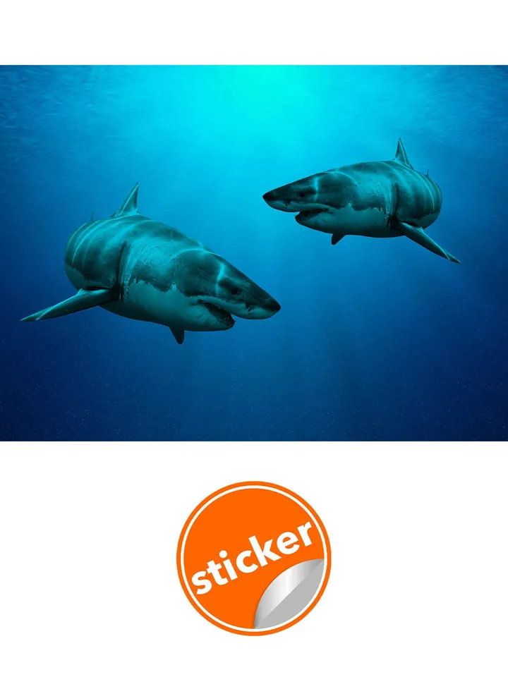 Wallpaper Shark Decor Sticker - 3d Underwater Ocean Wall Stickers Removable Decal - Under Sea Home Bedroom Adhesive Mural Decorations Art
