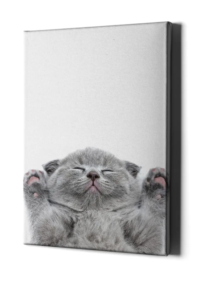 Baby Cat Wall Canvas - Kid Girl Room Art Decor Kitty Lover Picture - Nursery Cute Kitten Print Decoration - Bedroom Funny Framed Portrait