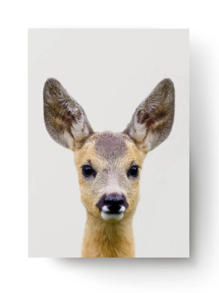 Baby Deer Poster Wall Decor - Nursery Sweet Girl Room Art Cute Fawn Picture - Boy Bedroom Decoration Toddler Animal Kid Print