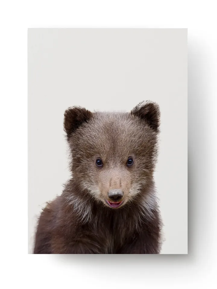 Baby Bear Poster Wall Print - Nursery Art Decor Cute Forest Animal Picture - Kid Boy Room Decoration Large Grizzly Photo Paper