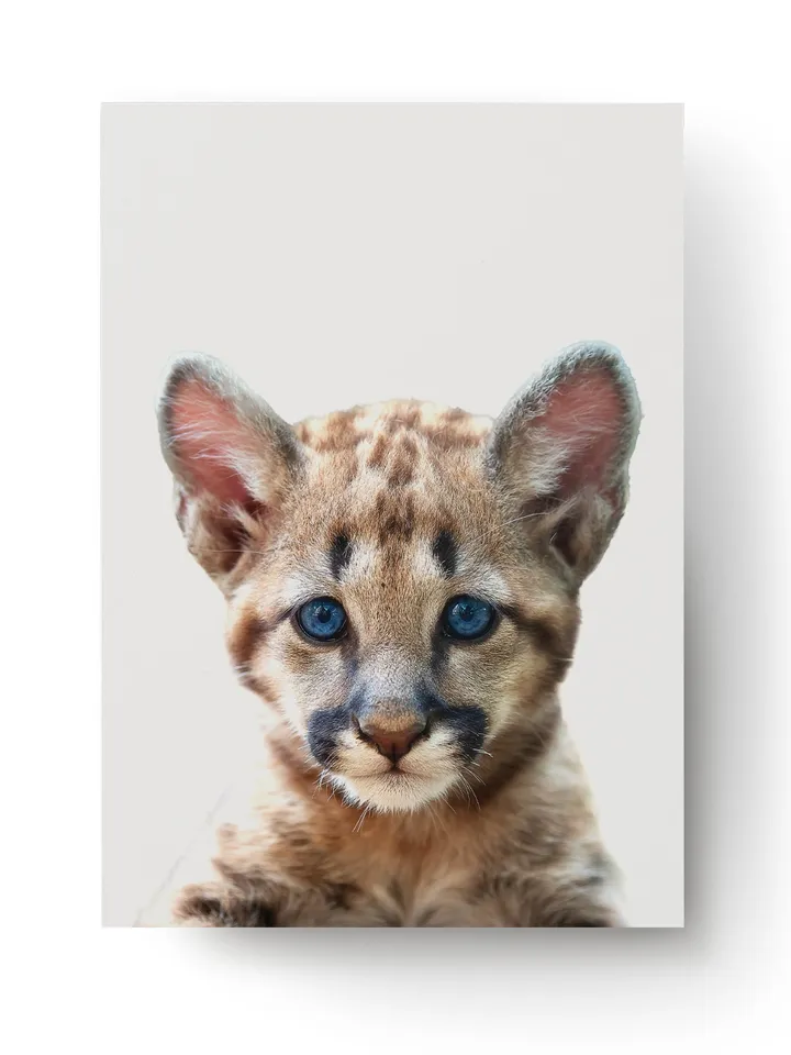 Baby Leopard Poster Wall Decor - Girl Room Large Safari Jungle Cute Animal Print - Nursery Kid Decoration Home Bedroom Art Picture