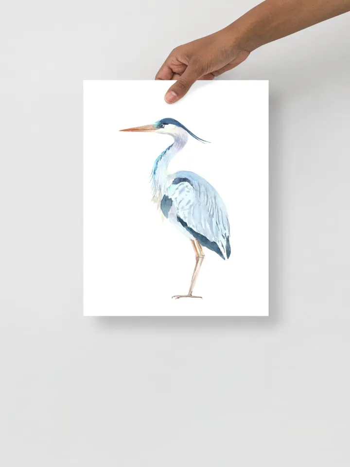 Blue Heron Set Of 2 Watercolor Painting, Bird Lover Gift, Beach House Art, Home Decor Gift, Bathroom Wall Decor, Great Heron Painting Print