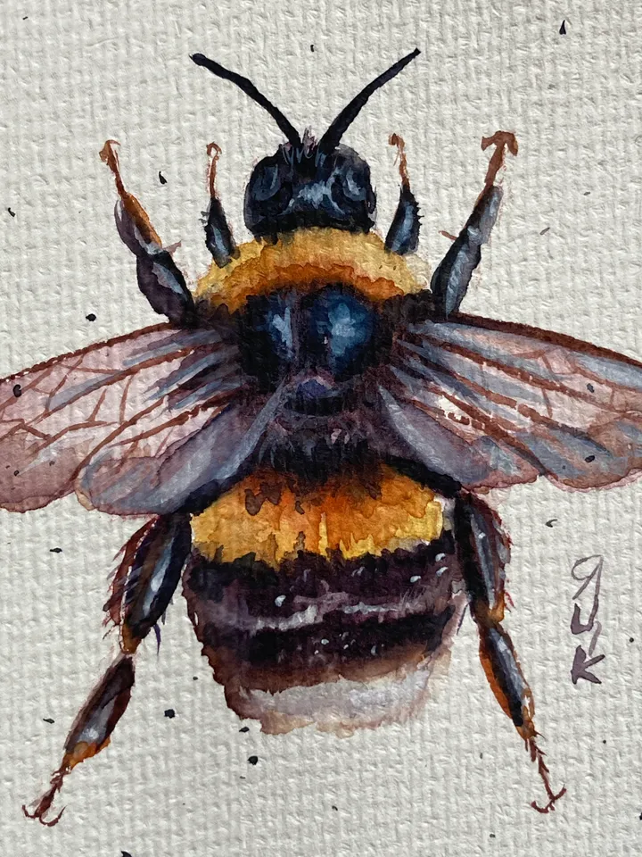 Bee Painting Original Watercolor Painting Gift Small Insect Art Bumblebee Illustration 4x6