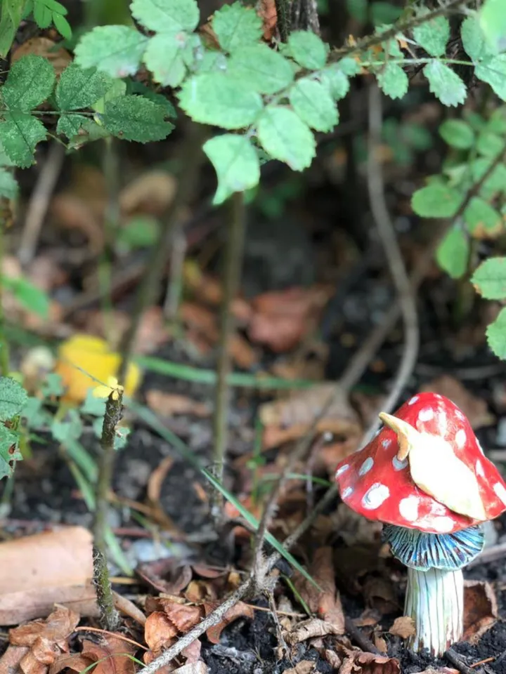 Witch starter kit , mushroom necklace , mushroom decor , magic mushroom