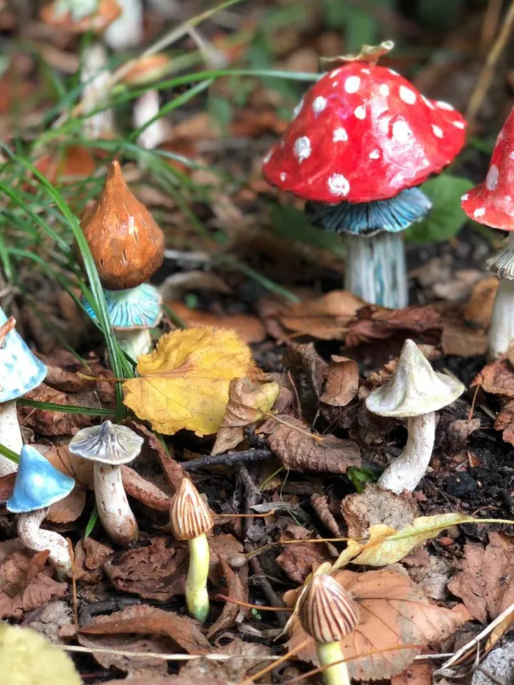 Witch starter kit , mushroom necklace , mushroom decor , magic mushroom