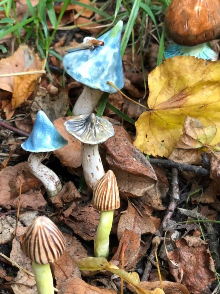 Witch starter kit , mushroom necklace , mushroom decor , magic mushroom