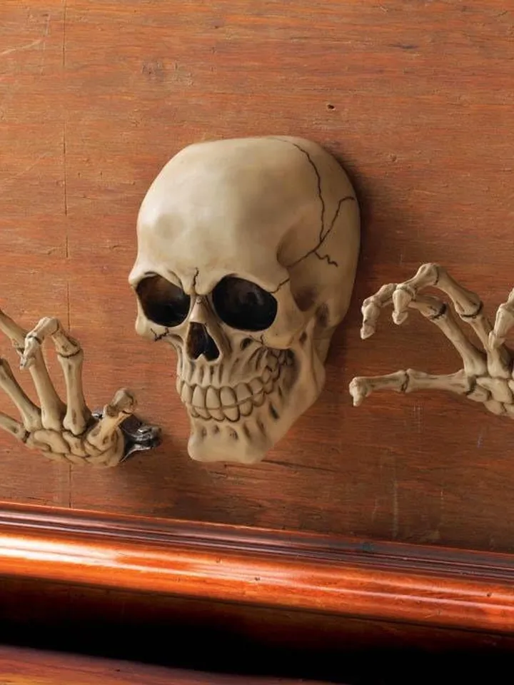 Skeleton Wall Decor Set