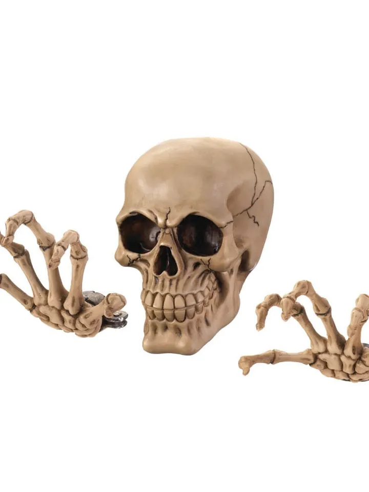Skeleton Wall Decor Set