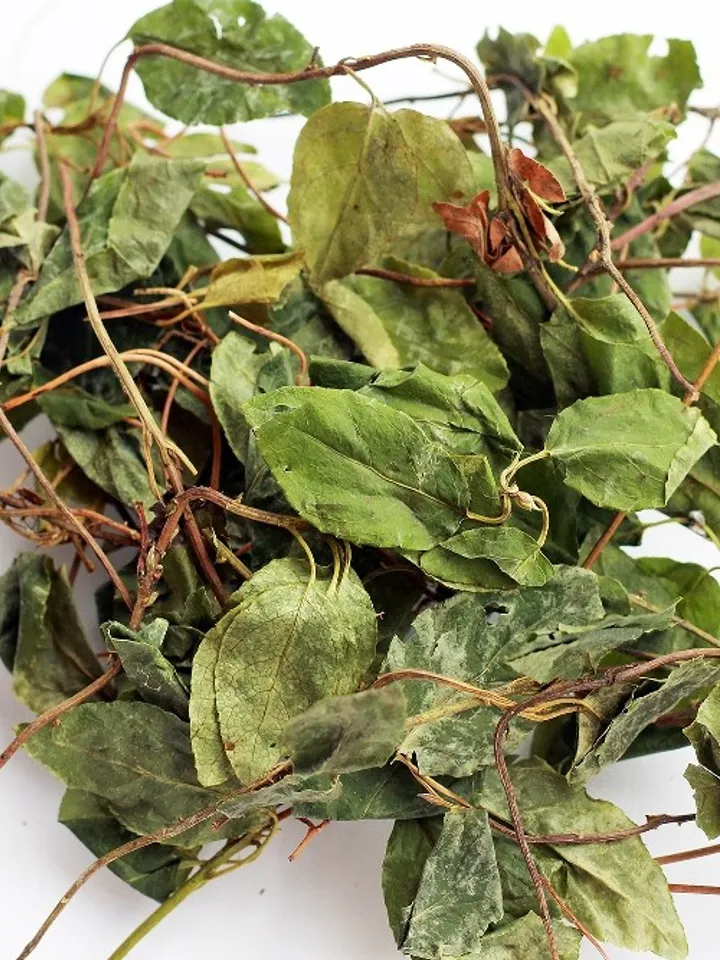 Borovaya matka for women. Herbal tea Baikal
