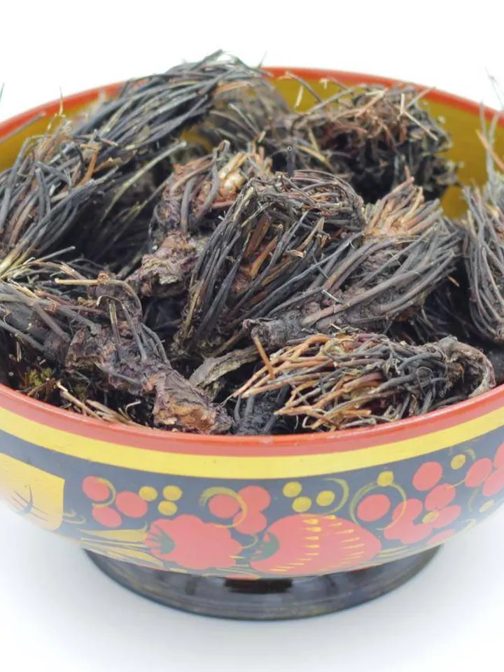 Red brush. Herbal tea Baikal