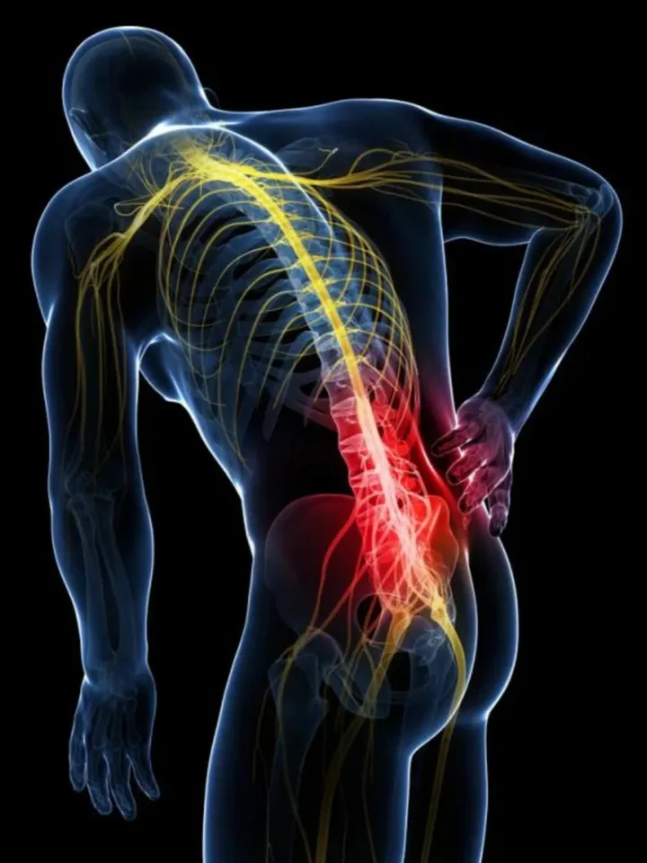 Flexanit joint repair victory over pain 10 ampoules