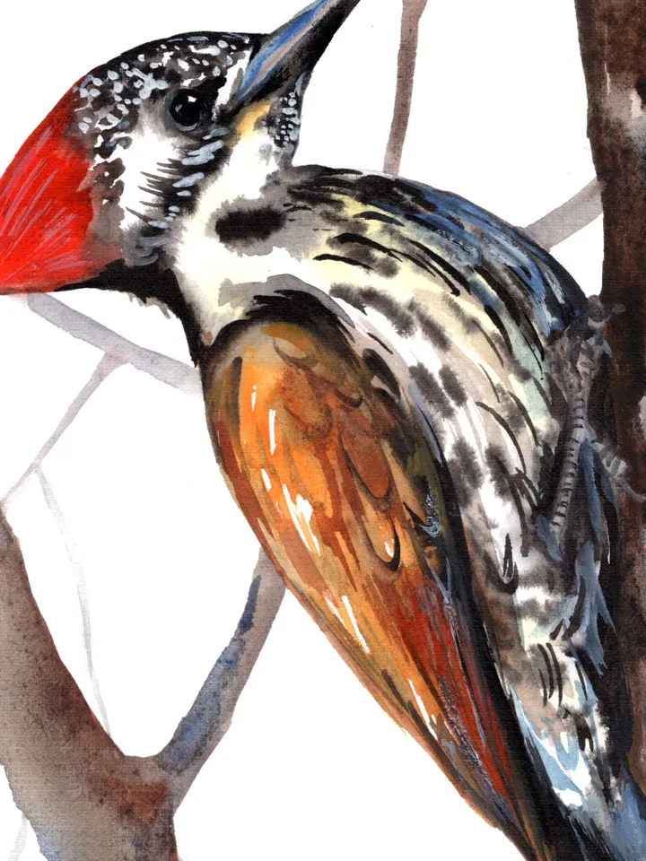 Woodpecker Bird Watercolour, bird painting, wall decor, birds lover gift, 8x11 in handmade art by Anne Gorywine