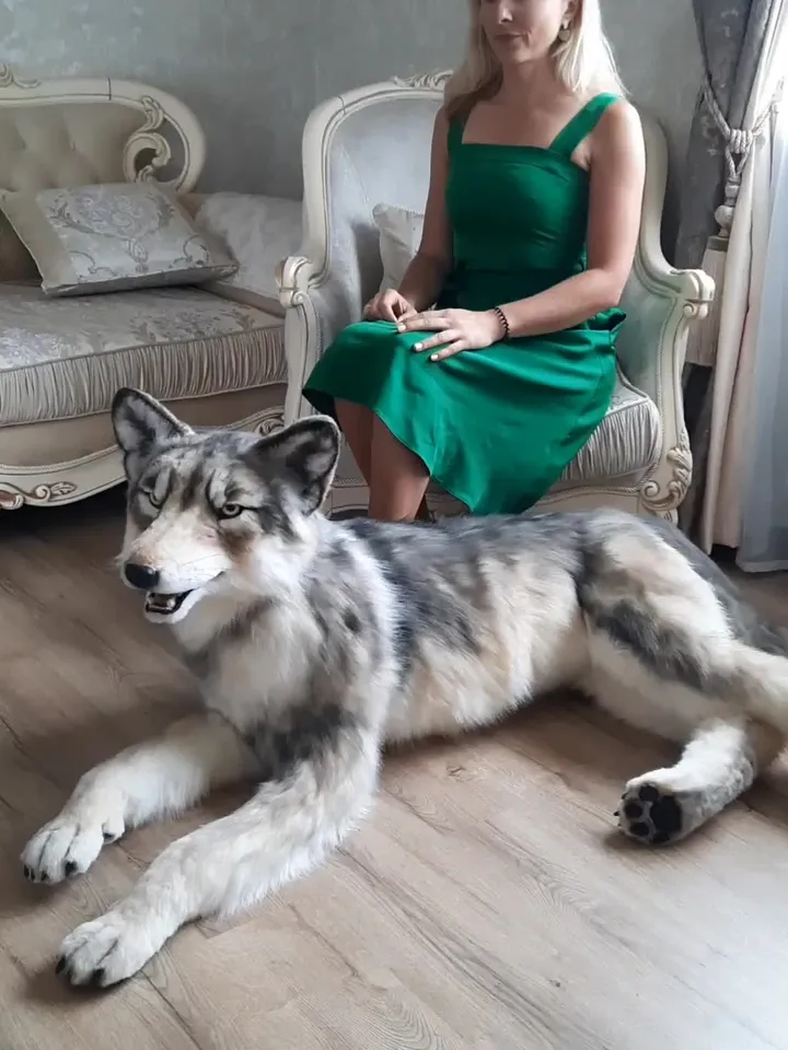 Wolf realistic plush animals. Ooak toy. Wolf stuffed toy