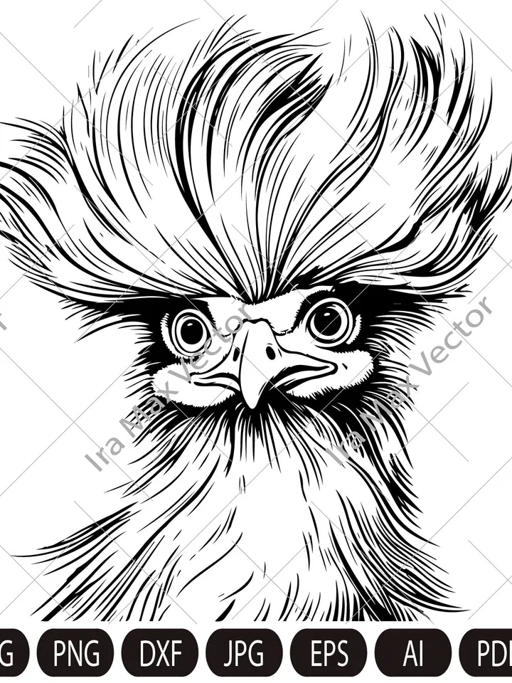 Silkie hen svg, Silkie hen head svg, Silkie hen face svg, Silk rooster, Silkie bird, FUNNY SILKIE HEN Digital image, animal, bird, hen, cock