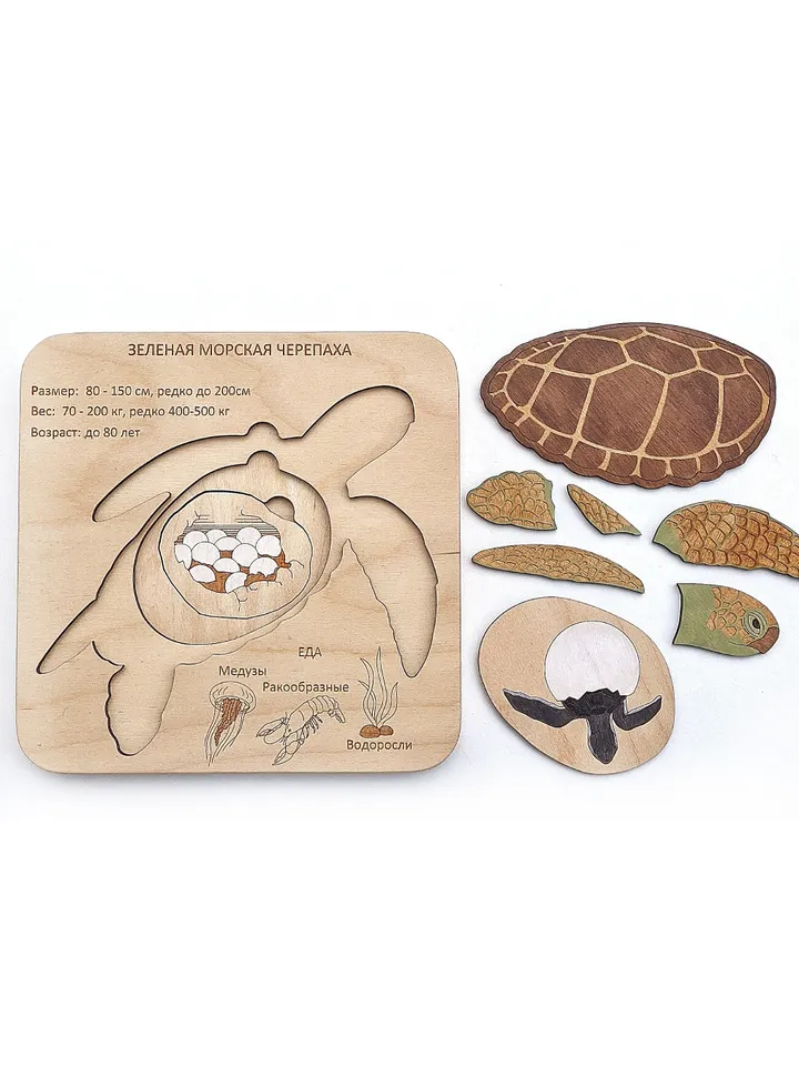 Wooden handmade Puzzle Green sea turtle Montessori puzzle science play