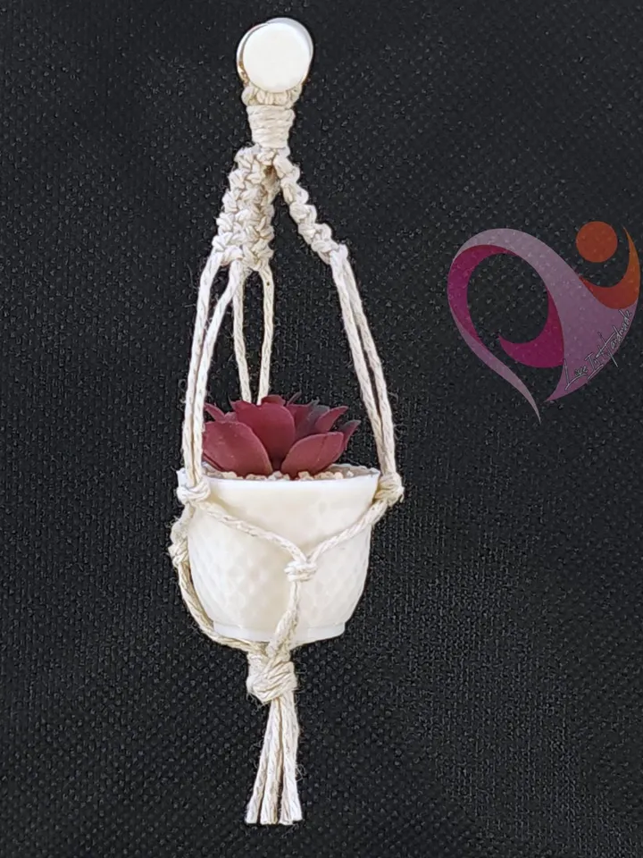 Mini Plant Magnet Tiny Macrame Succulent Hanging Locker Magnet Unique Gift Plant Lover Kitchen Decor Cute Fridge Magnet Gift Under 10
