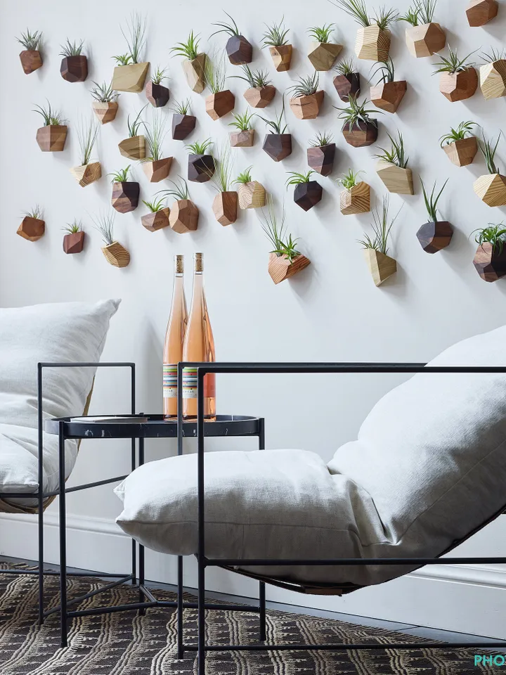 Cherry Geometric Air Plant Holder
