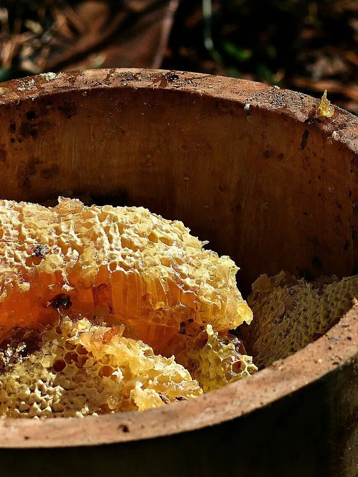 Bashkir wild honey, 300g