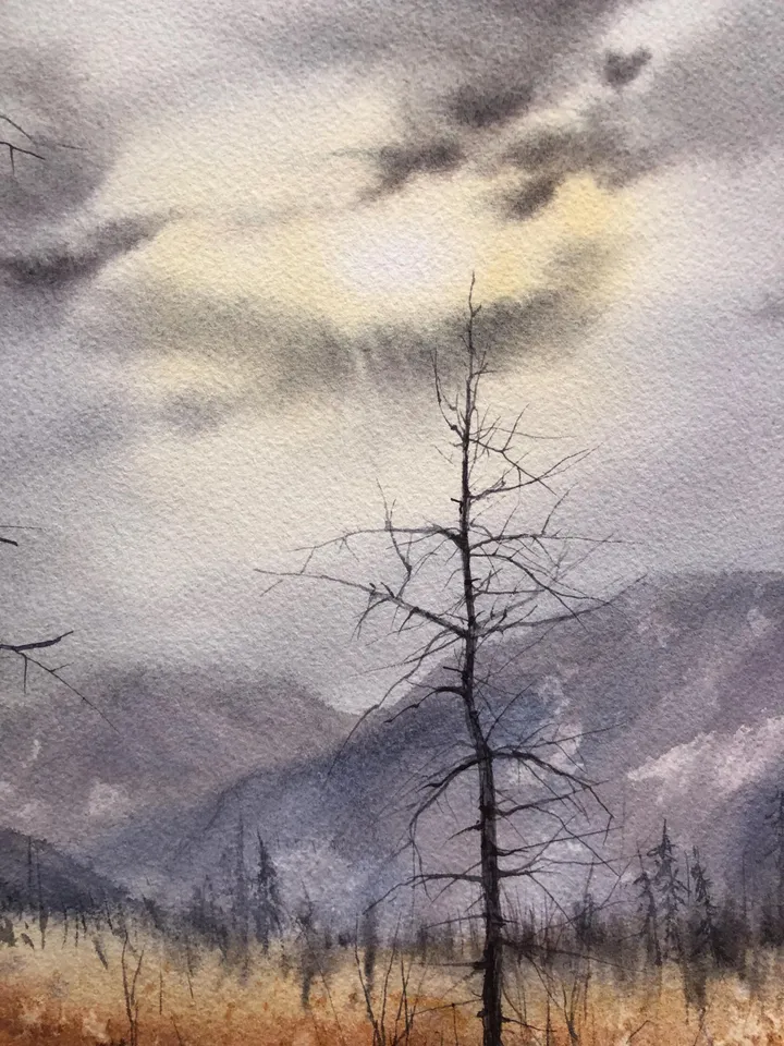 Forest Original Painting Landscape Trees Painting Field Wall Art