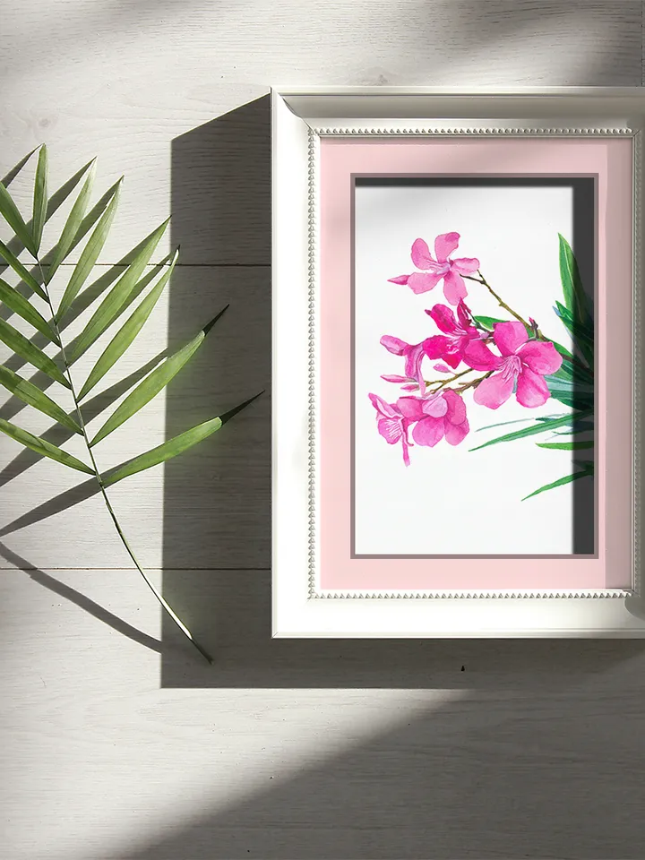 Oleander flowers on a white background Watercolor botanical Clipart Poster Design