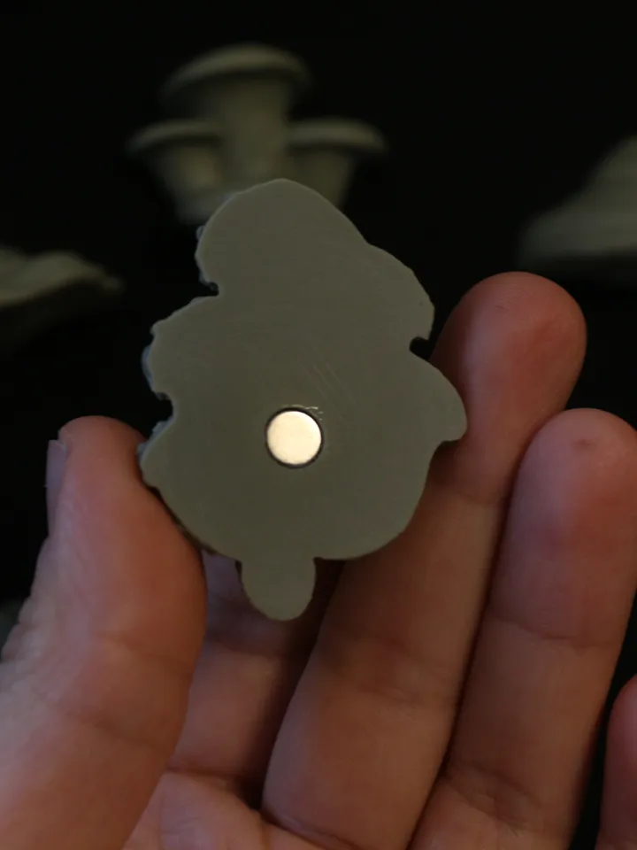 Set of 13 Magnets of Mushrooms (Unpainted)