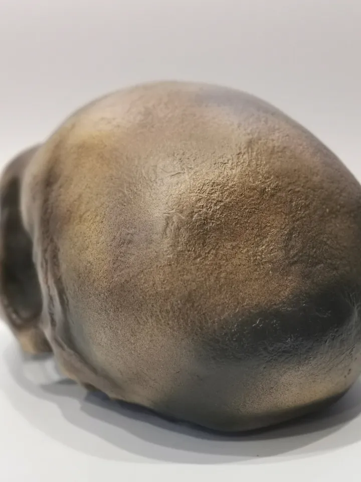 Homo Neanderthal from Monte Circeo 1 Skull Replica, Prehistoric Fossil Collection, Realistic Hominid Skull, Museum Quality