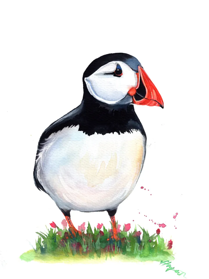 Puffin original watercolor, birds painting, wall decor, 7x10 in art for bird lovers by Anne Gorywine