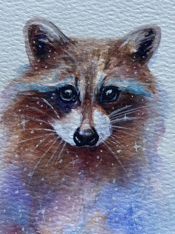Raccoon Painting Original Watercolor Painting Raccoon Gift Small Animal Art Raccoon Illustration 4 by 6