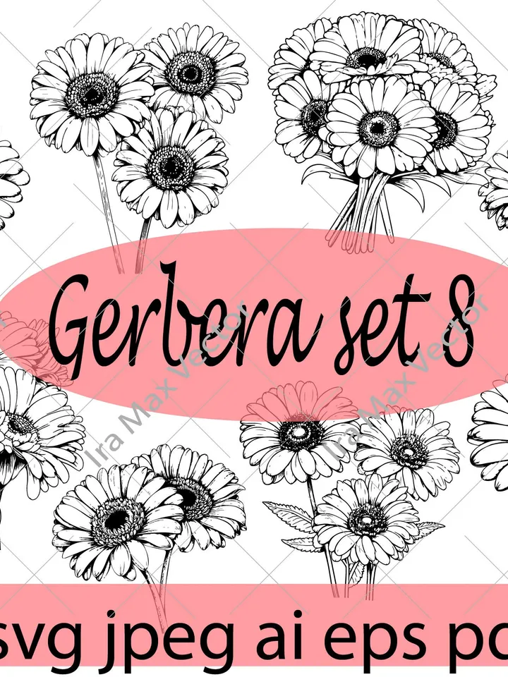 Gerbera svg, Daisy svg, Cute Wildflower, Gerbera set, Botanical Floral Clipart, Garden Plant Silhouette, Wedding Vinyl Cut file