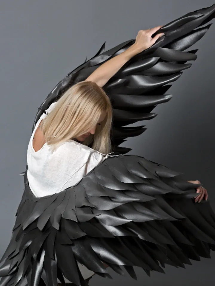 Gothic wings Cosplay costume, Black sexy wings for Performances, Fallen angel, dark angel wings for Men , bellydance