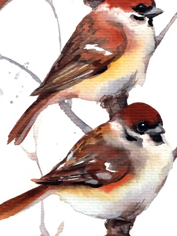 Sparrows original watercolor, birds painting, wall decor, 7x10 in art for birds lovers by Anne Gorywine