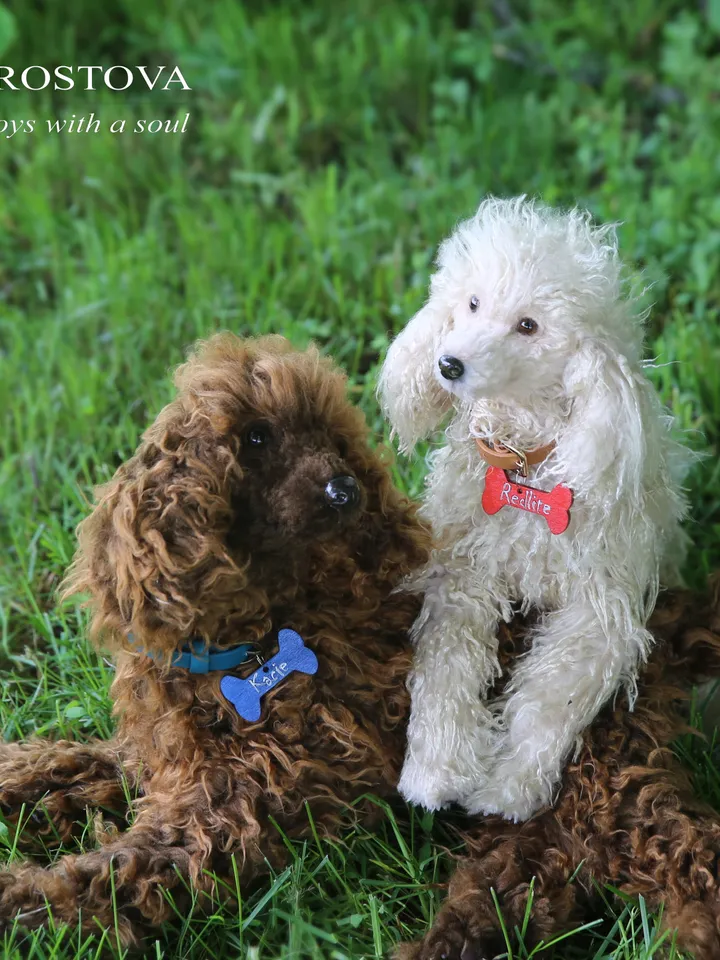 Pattern Dog | Realistic sewing toy pattern | Poodle | Stuffed Animals | Pattern with brief instruction for stitching.