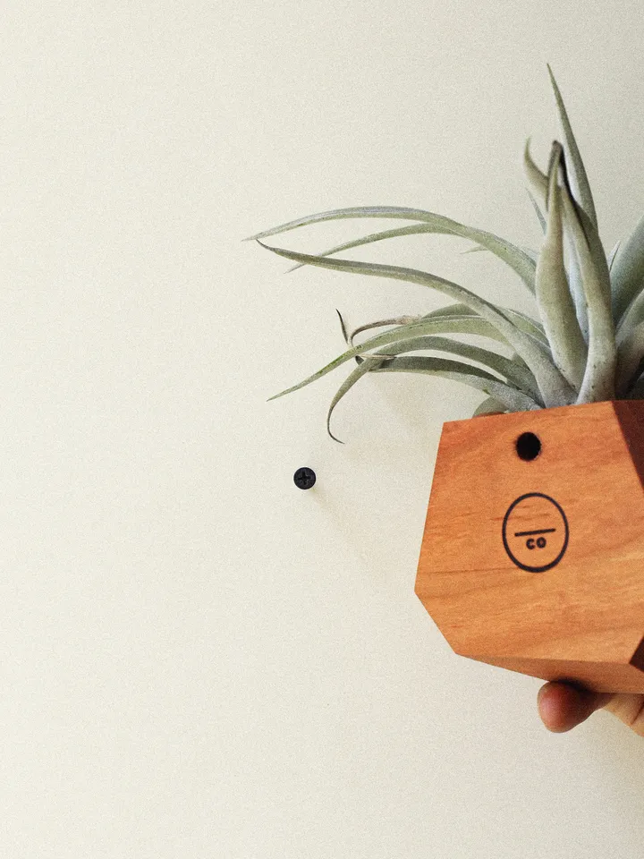 Cherry Geometric Air Plant Holder