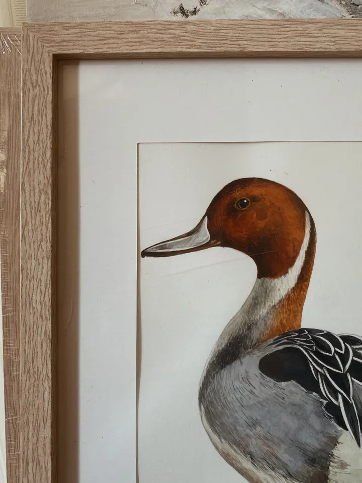 "Duckling" original watercolor, size 9"x9"