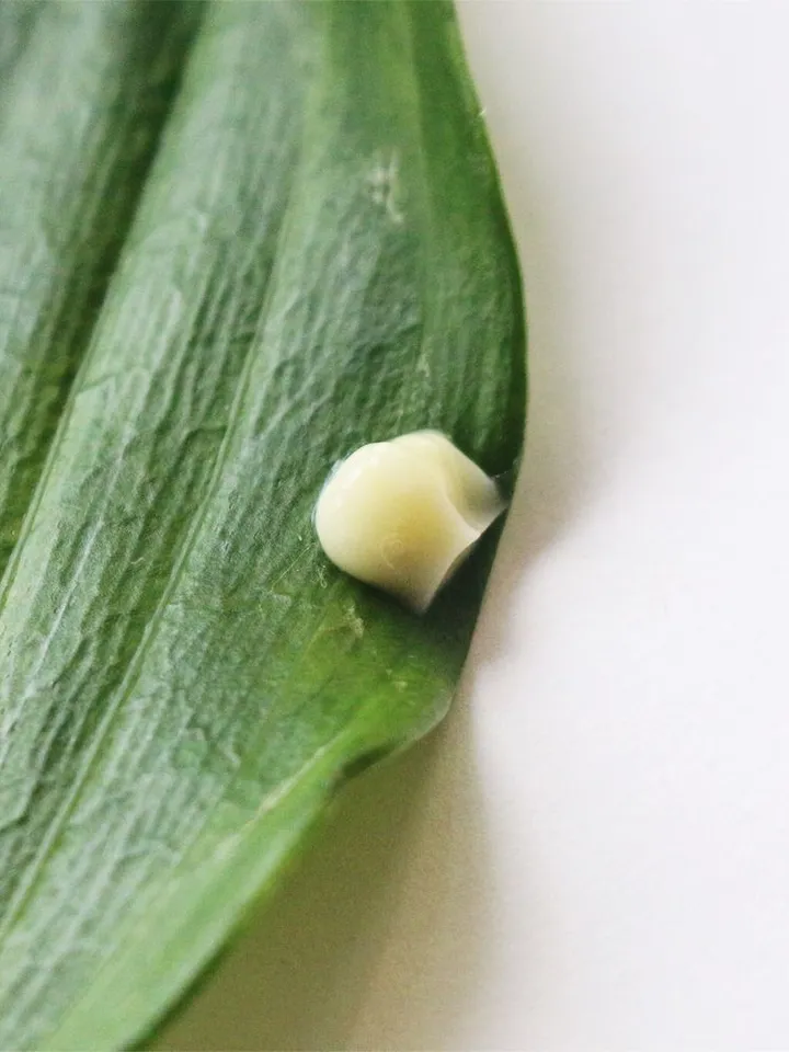 Ultra-moisturizing fluid cream for oily skin