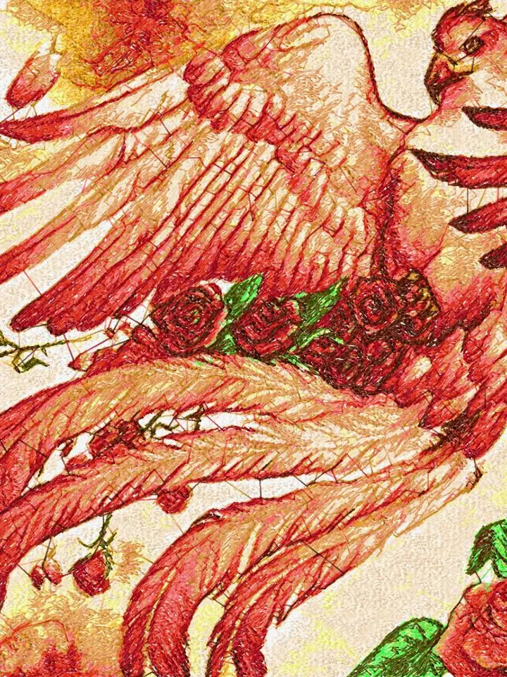 Magic bird photo stitch Machine Embroidery Design