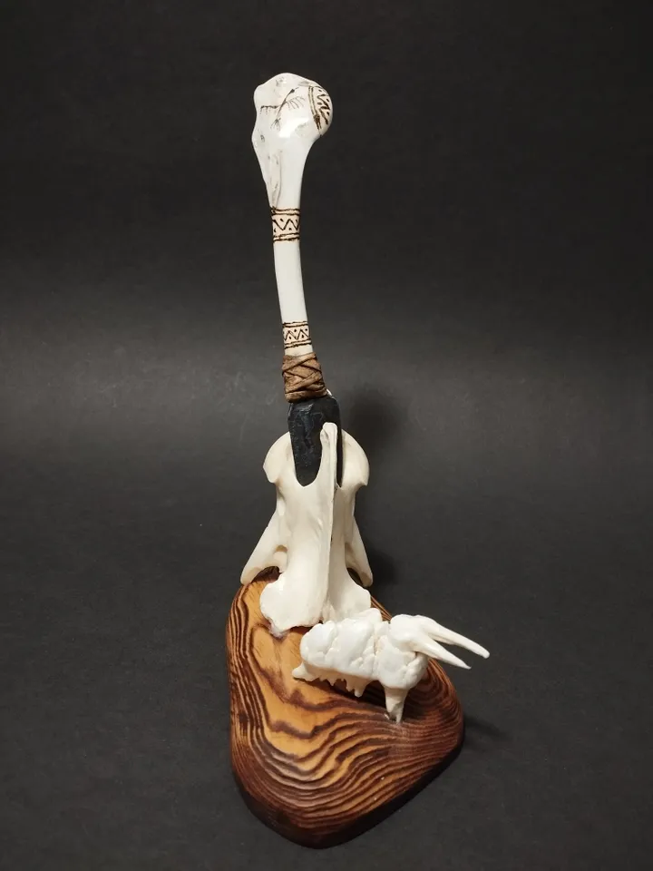 Knife of vulture bone