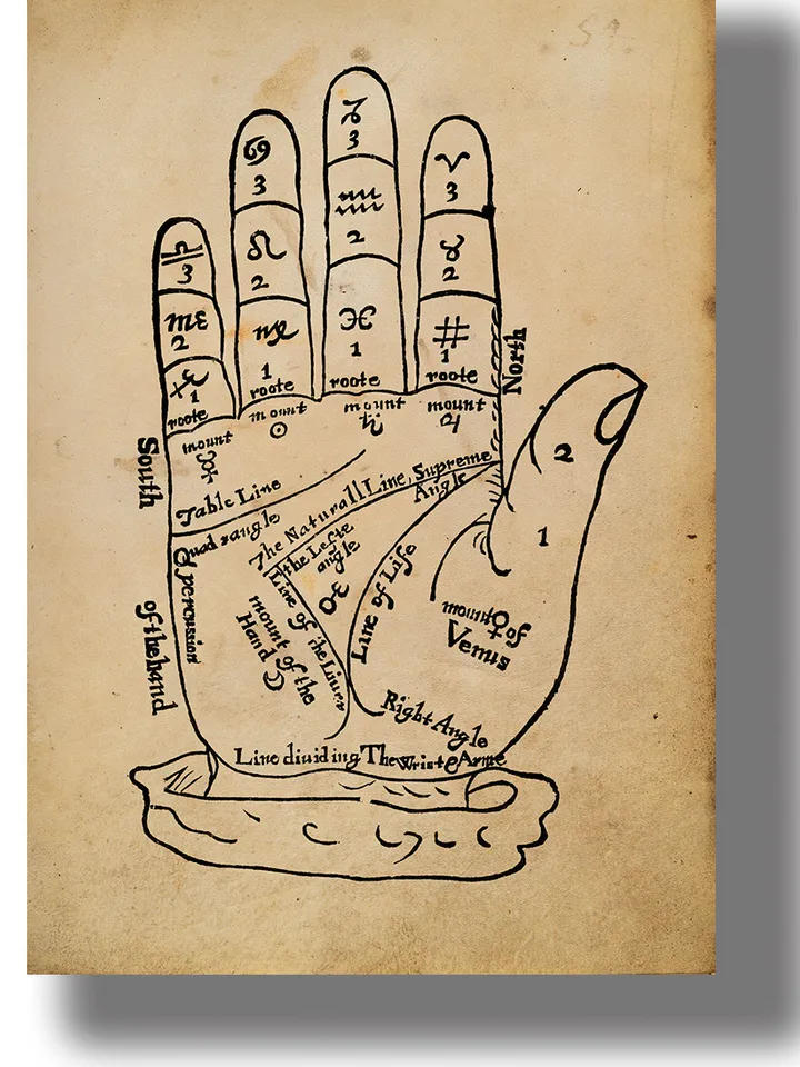 Palmistry is divination by the lines of the hand.