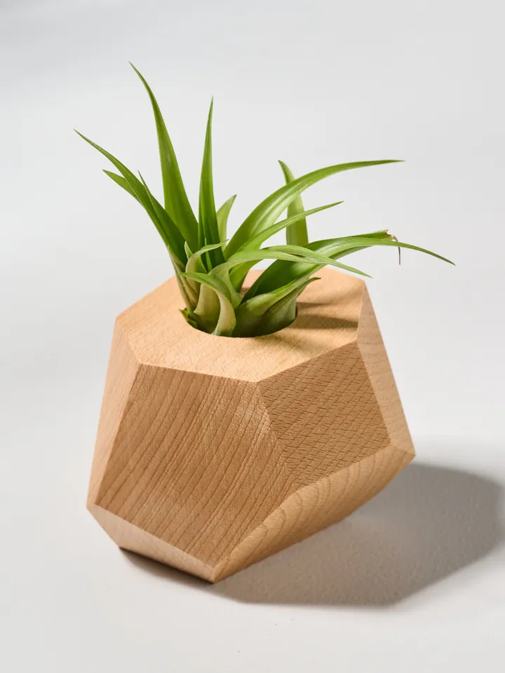 Set of 4 Beech Wood Geometric Air Plant Holder