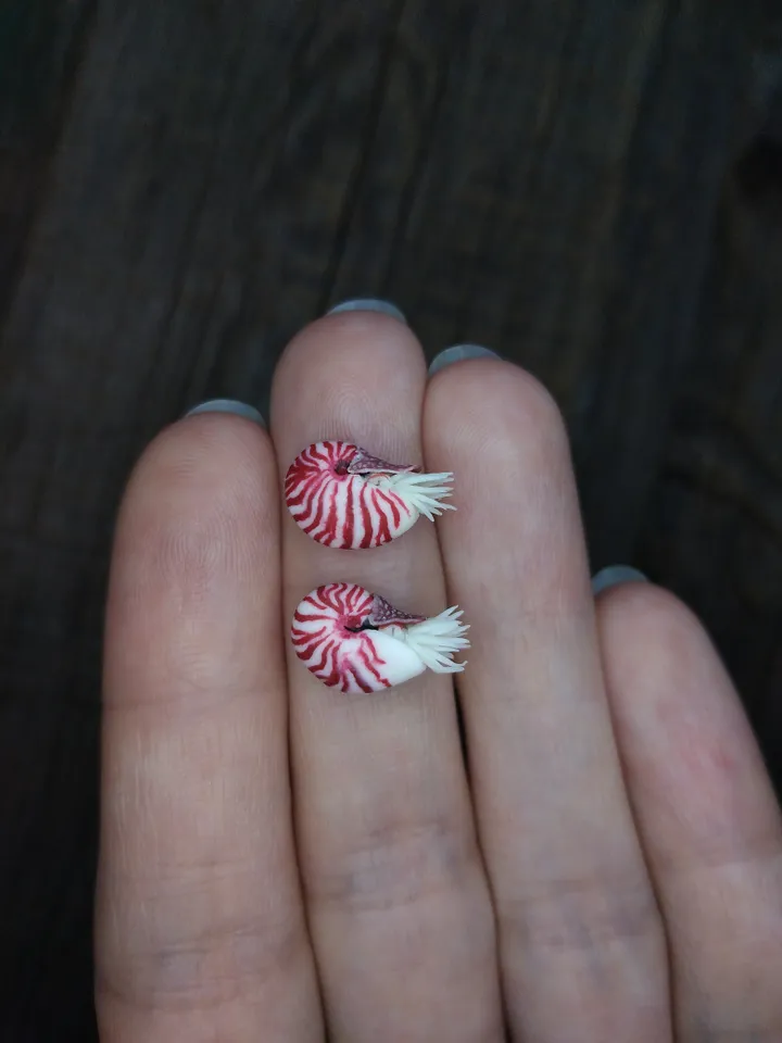 Miniature clay Chambered Nautilus 5 pcs, tiny animal for diorama, dollhouse or resin art